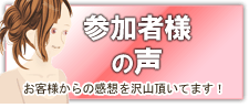 p[eB[Qҗl̐